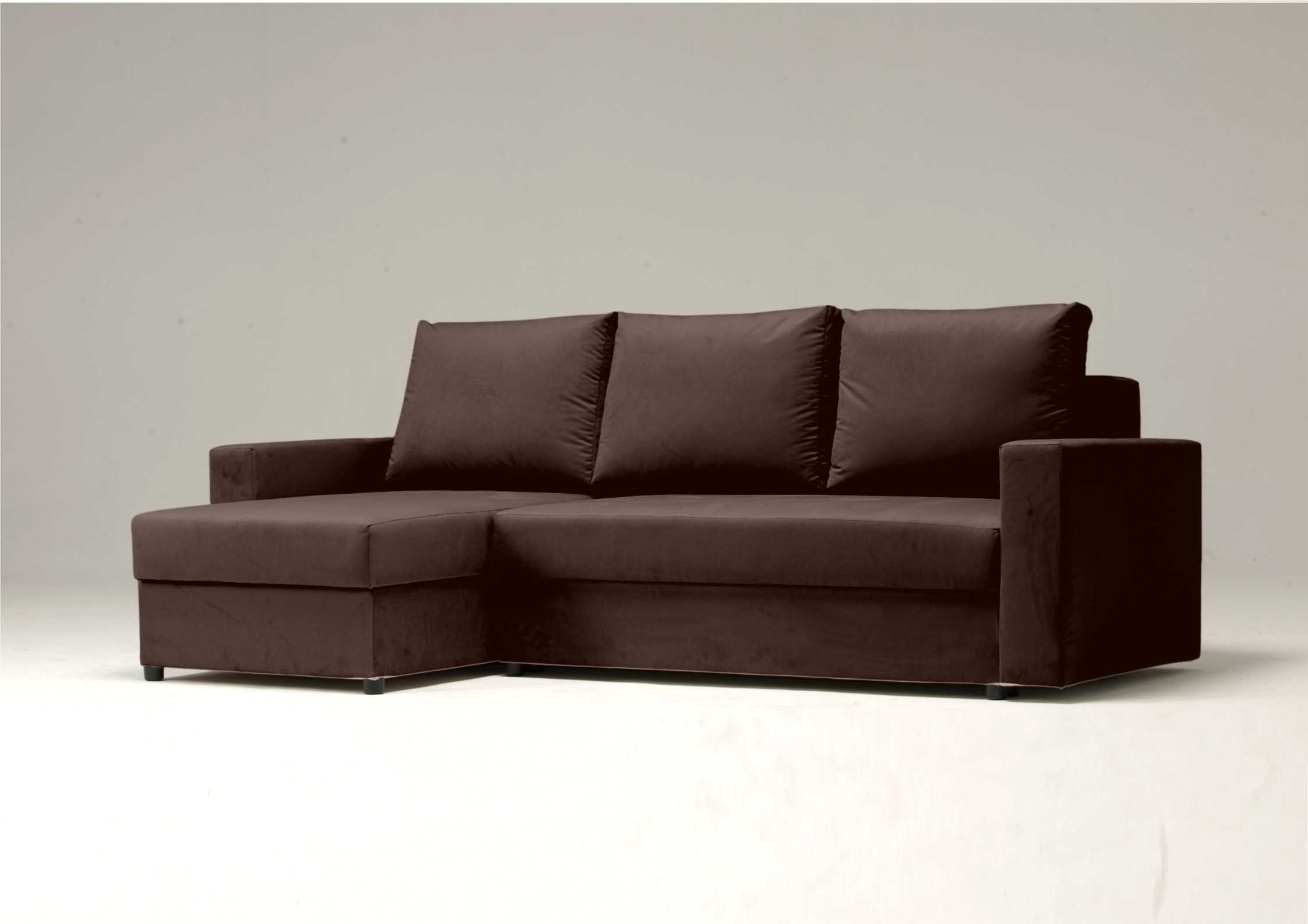 Zwykła brązowa rogówka